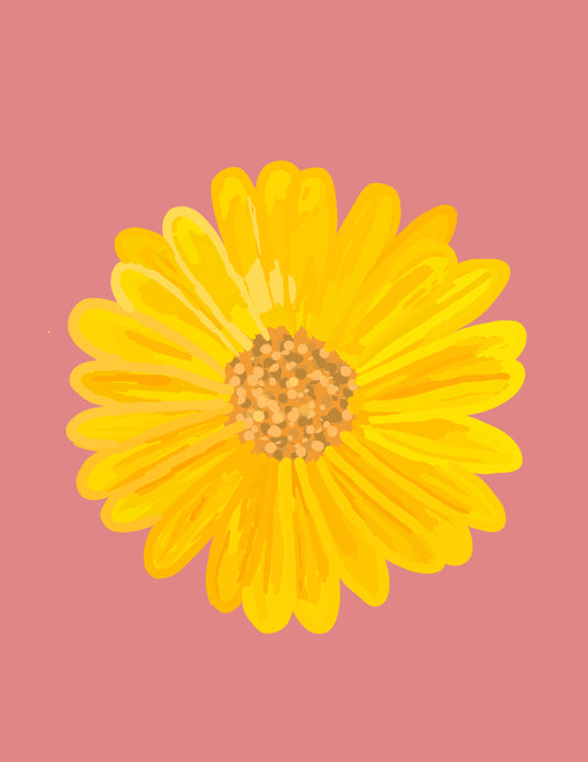 Blomst på rødrosa bakgrunn